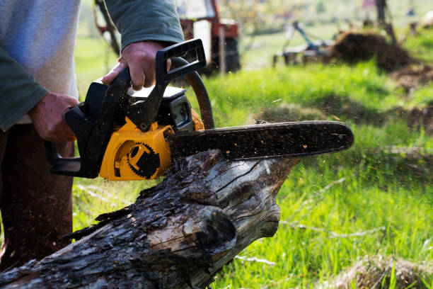 Best Landscape Design and Installation  in Guerneville, CA